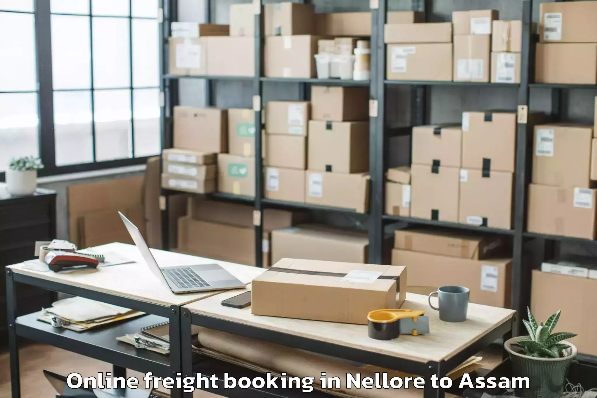 Professional Nellore to Lilabari Airport Ixi Online Freight Booking